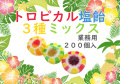 トロピカル塩飴ミックス 200個入り　業務用 南国風 パイン ライチ マンゴー