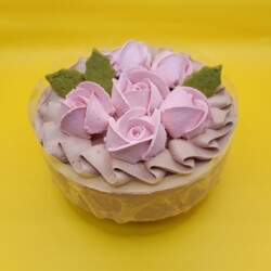 ヴィーガン対応 ラズベリーショコラホールケーキ