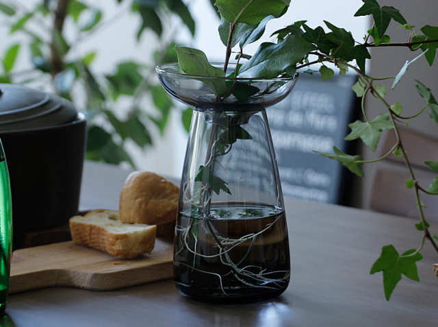 フラワーベース kinto