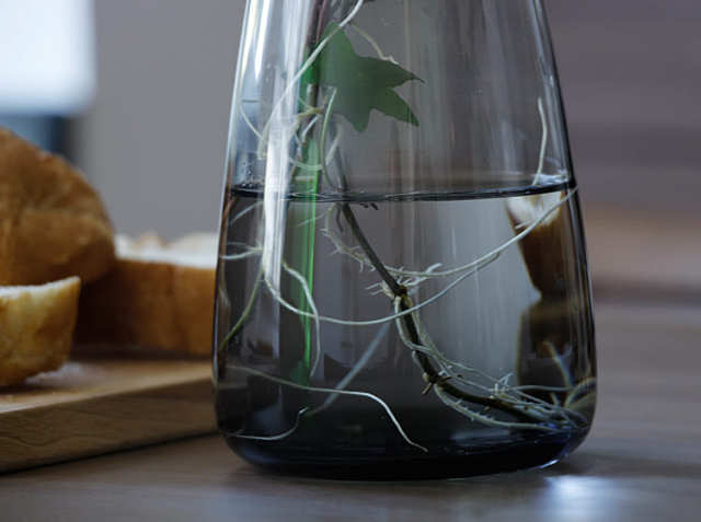 フラワーベース kinto