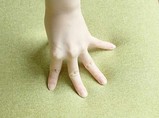 プライウッドチェア KNOX（ノックス）ファブリックタイプ｜北欧