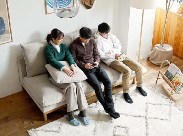 2.5人掛けソファ PANNE（パンネ）｜北欧・ヴィンテージインテリア