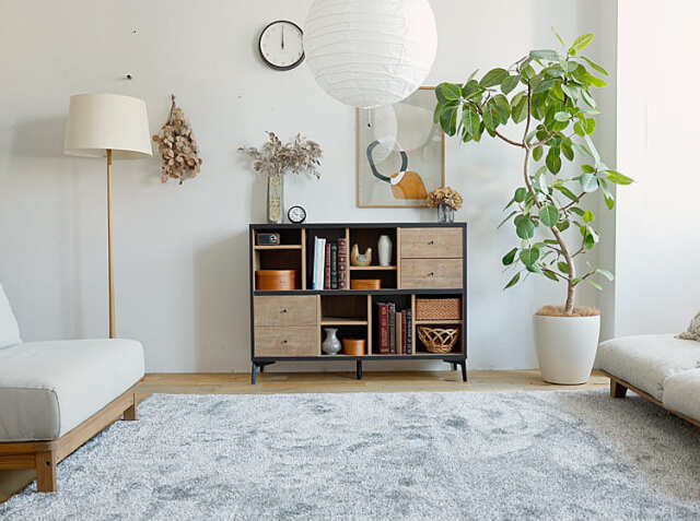 国産シェルフ tanas（タナス） 幅120cmタイプ｜北欧・ヴィンテージ