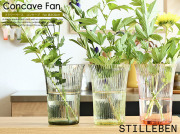 STILLEBEN フラワーベース Concave Vase Fan 高さ20cm