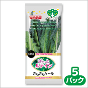 ケール　5パック