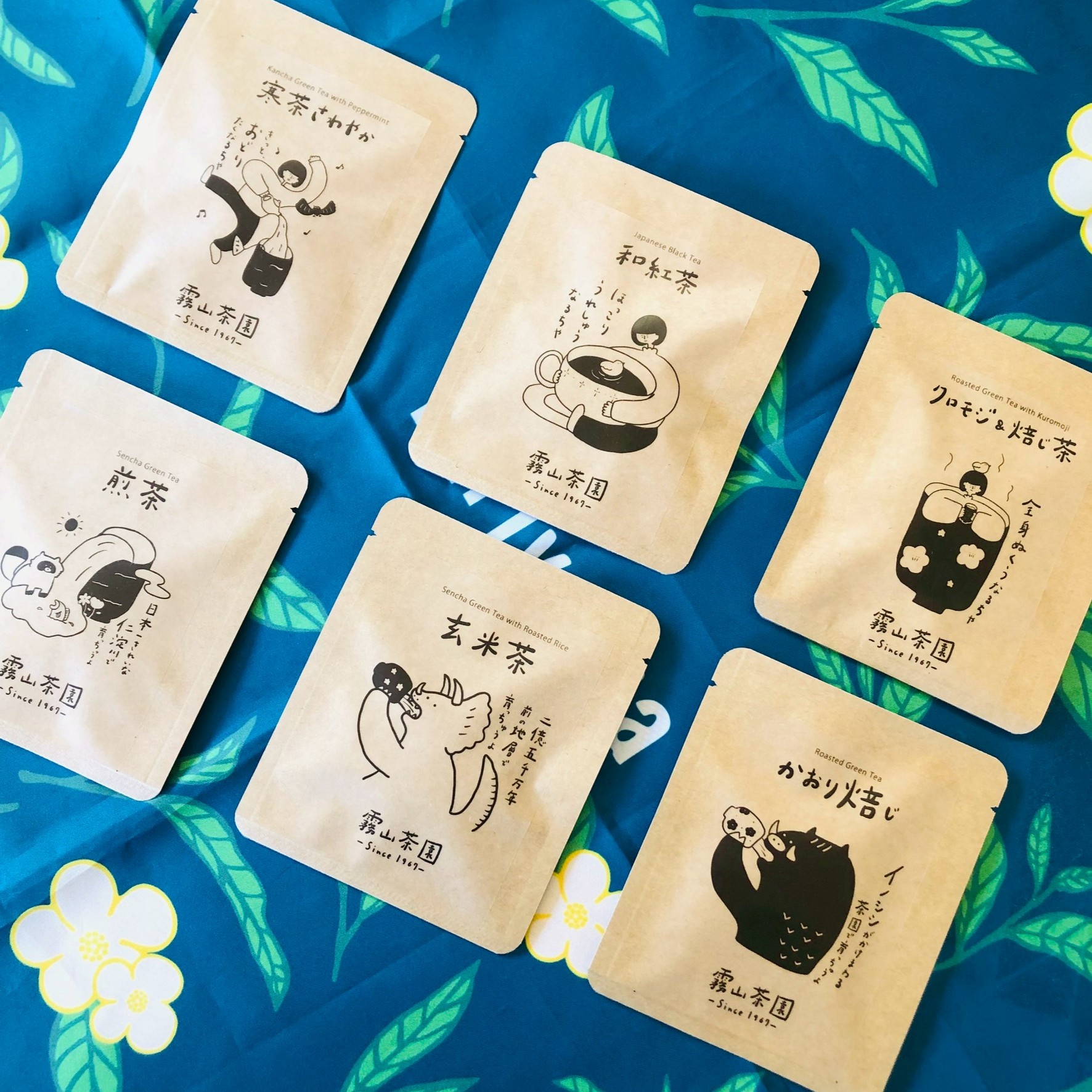 一煎用テトラ　アソート6種セット