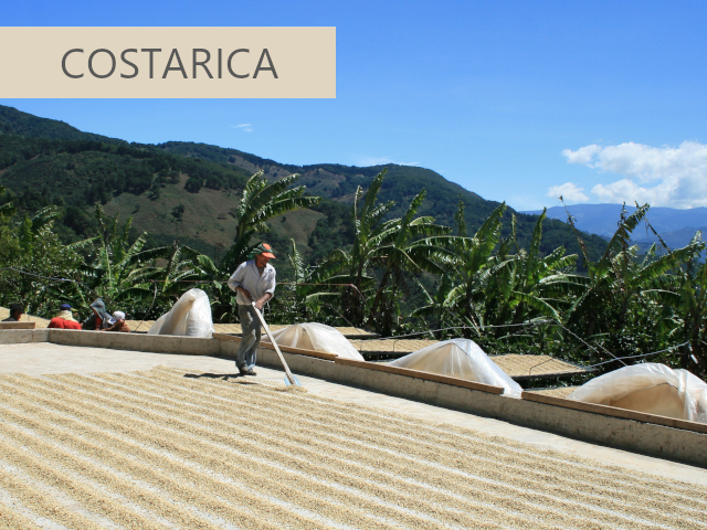 コスタリカコーヒー