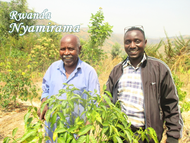 ルワンダコーヒー