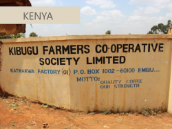 ケニアコーヒー