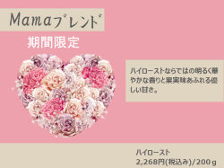期間限定「Mamaブレンド2026」