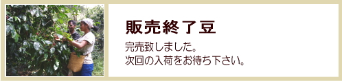販売終了豆