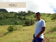 ペルーコーヒー