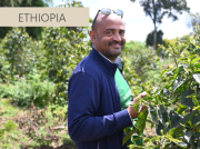 エチオピア(モカ）「グジ-ハンベラ　ゴロ・ベデッサ 」(シティ・フレンチ）200g