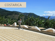 コスタリカコーヒー