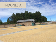 インドネシアコーヒー（マンデリン）