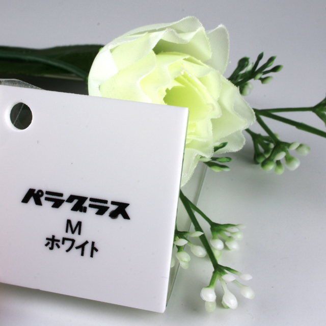 �ѥ饰�饹�ʹ����/PG4035W/1100X1300