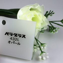 �ѥ饰�饹�ʥޥåȥ��ѡ����/PG50C6MOP/915X1830