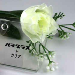 ѥ饰饹ʥꥢ/PG15017C/1000X2000