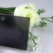 パラグラス（グレースモーク） /PG20A6GS/915X1830