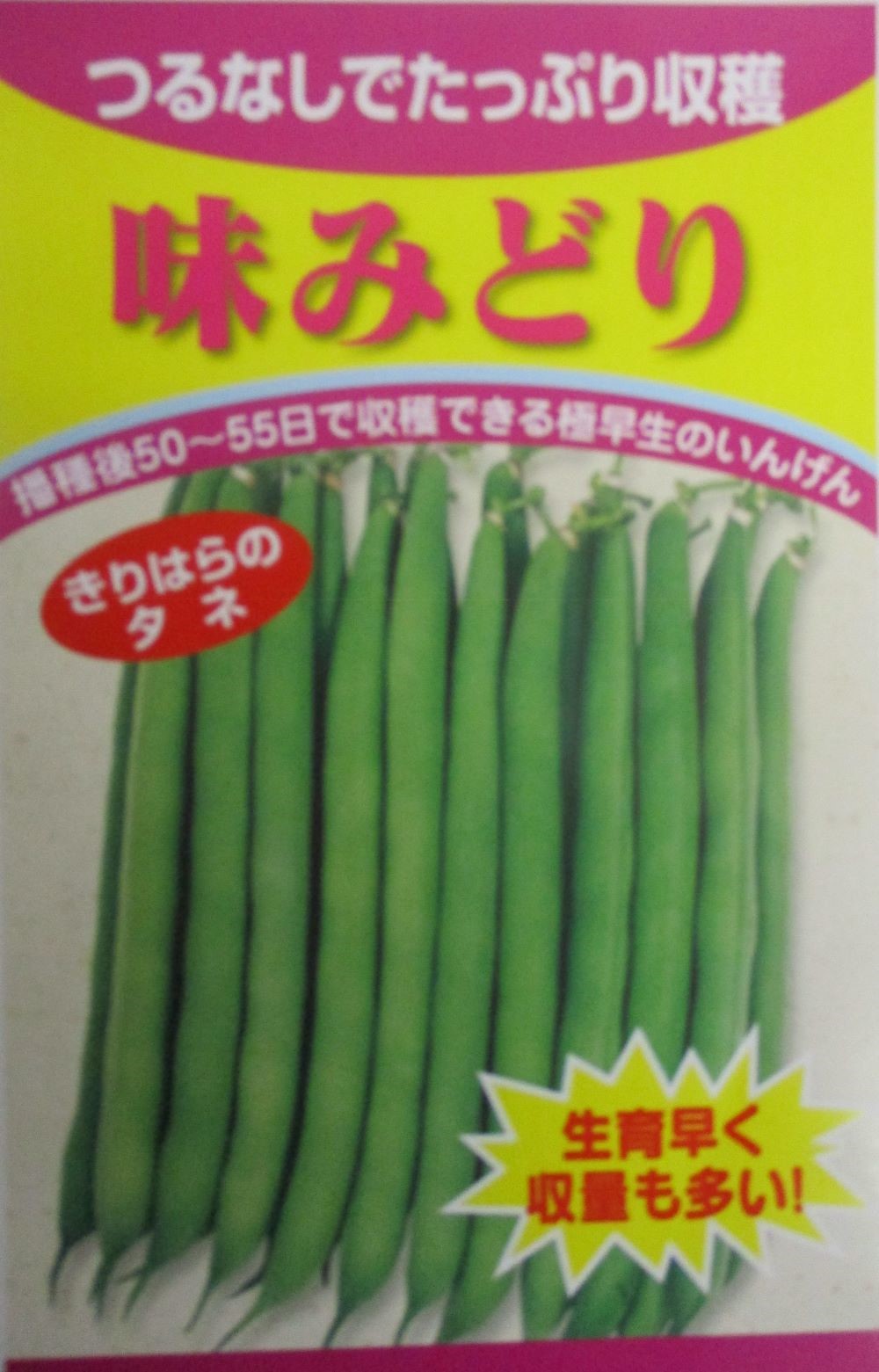 味みどり