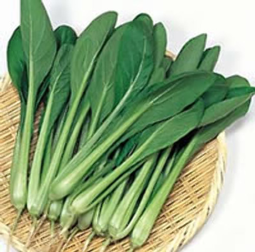 味美菜