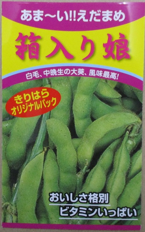 箱入り絵袋