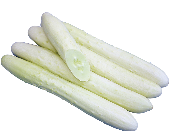 白イボきゅうり スック 350粒 1袋 白イボきゅうり スック 350粒 1袋 【楽天市場】白きゅうりの通販
