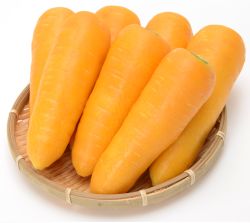 金美ＥＸ