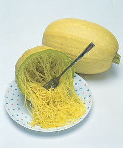 錦糸瓜