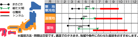 アイコ裏