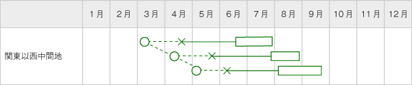 赤しそ裏