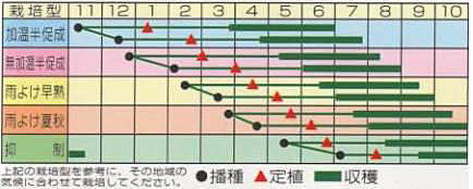 Mr.浅野のけっさく　うら