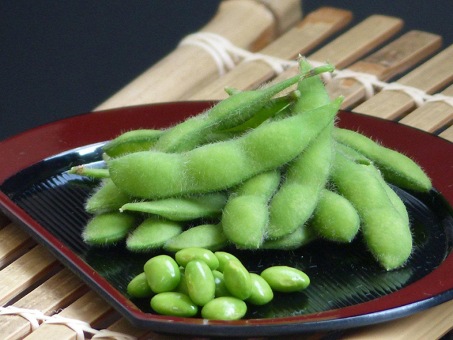 枝豆】 味風香 （雪印種苗）