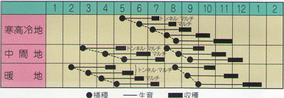 味わらべうら