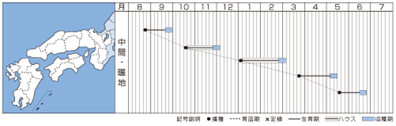 紅法師うら