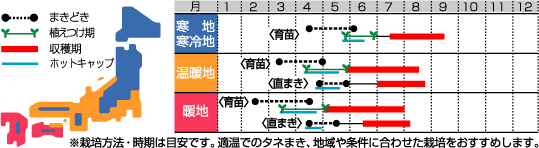 ブラックトスカうら