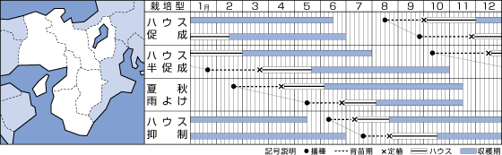 CF千果うら