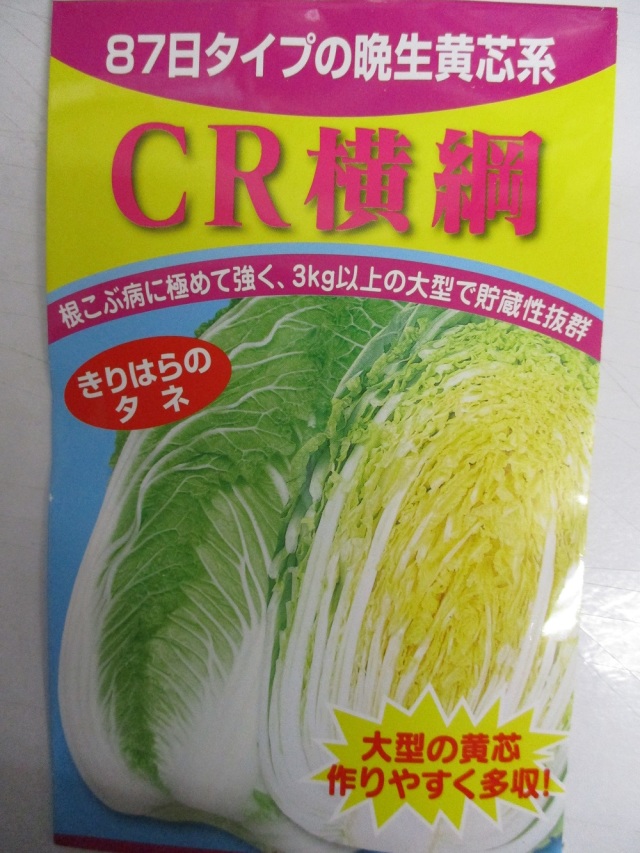 CR横綱