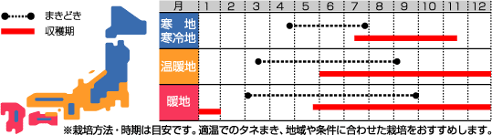 ダイエットうら