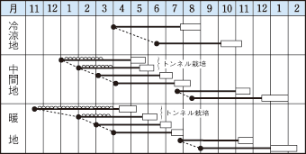 Dr.カロテン5うら