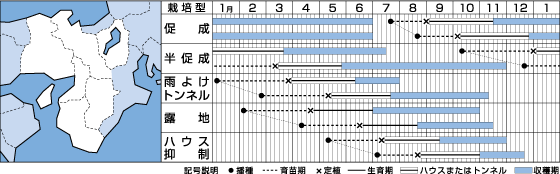 フルーピーイエローうら