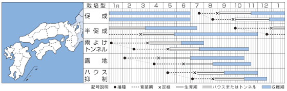 フルーピーレッドＥＸうら