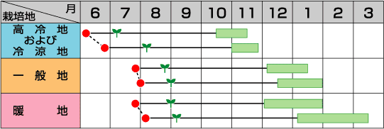 冬王うら