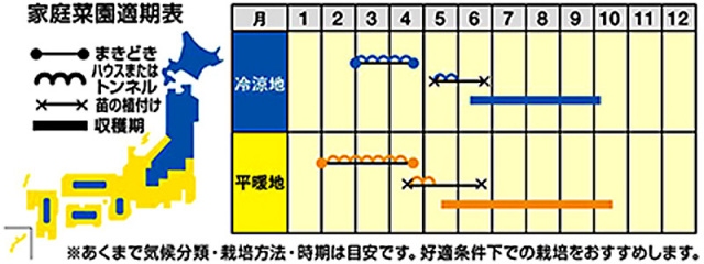 激辛番長うら