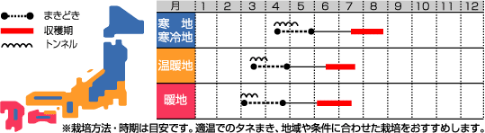 ゴールドラッシュうら