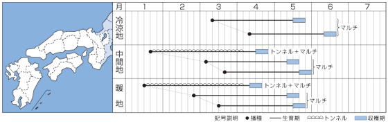 春小町うら