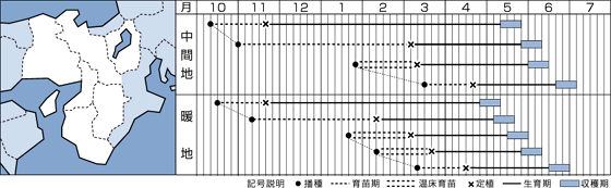 ＹＲ春空うら