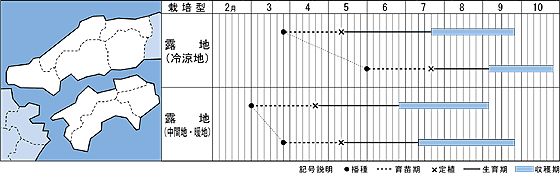 ホーム桃EXうら