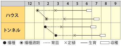 ほう晴れうら