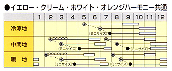ホワイトハーモニーうら